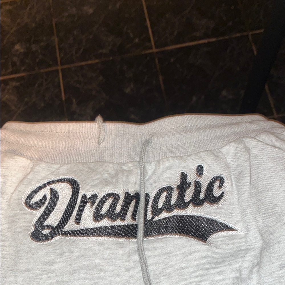 Dramatic Gray Sweatpants brand new never worn  offers are welcomed